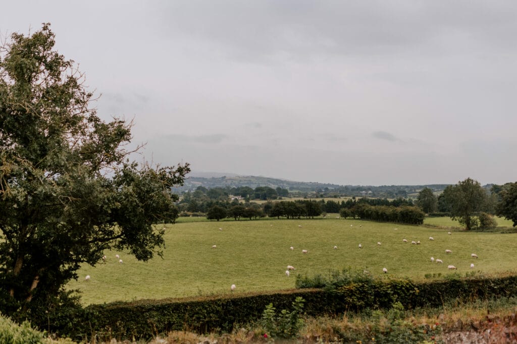 A view of the tranquil countryside views from the cottages at Limepark